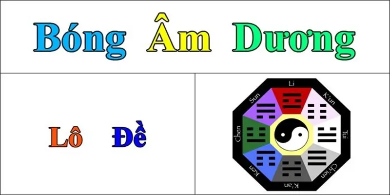 bong-am-duong
