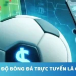 ca-do-bong-da-truc-tuyen