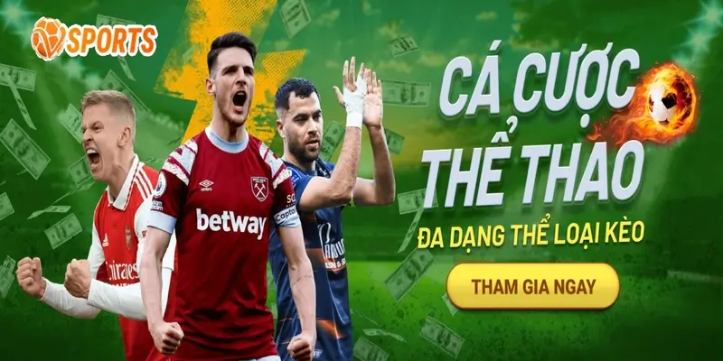 cac-danh-muc-ca-cuoc-hot-tai-vsport