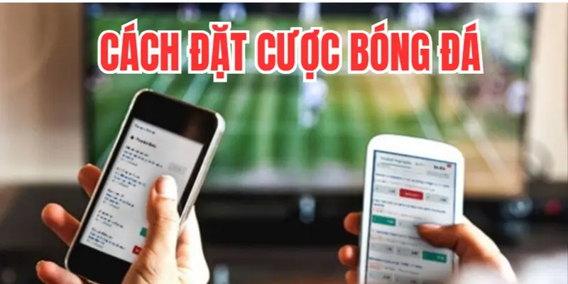 cach-dat-cuoc-bong-da